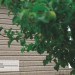 Сайдинг Ю-Пласт TIMBERBLOCK Пихта (Тимберблок) Cахалинская купить в Истре