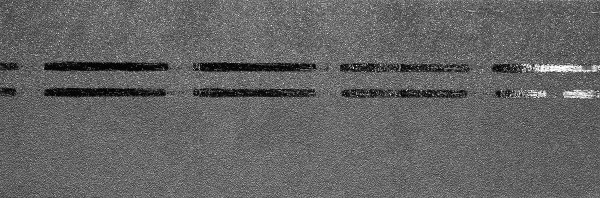 Коньково-карнизная черепица Docke Premium, черника купить в Истре