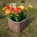 Цветник КАНЬОН купить в Истре