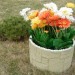 Цветник КАНЬОН купить в Истре