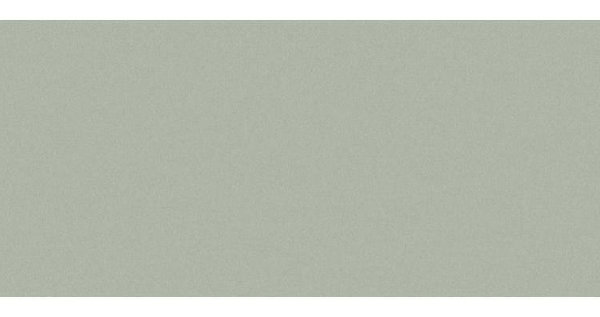 Сайдинг CEDRAL smooth (гладкий) С06 купить в Истре